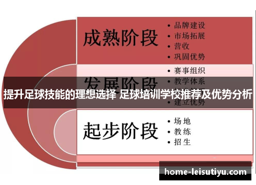 提升足球技能的理想选择 足球培训学校推荐及优势分析